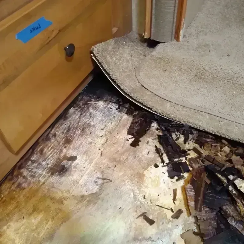 Wood Floor Water Damage in Oroville East, CA